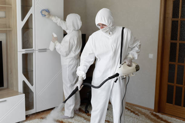 24/7 Emergency Odor Removal experts in Lakeville, MA